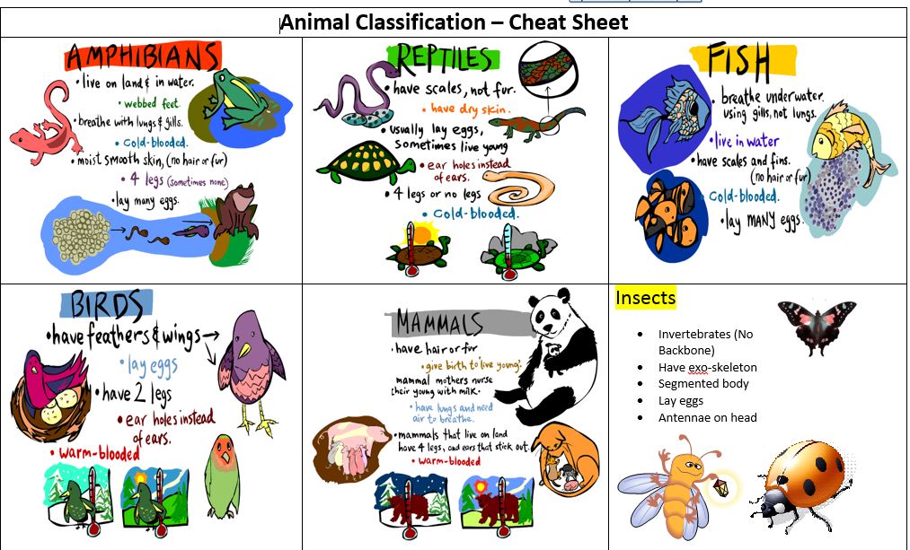 What am I? An Animal Classification Game - Artfingers: Art is Elementary